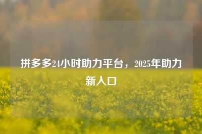 拼多多24小时助力平台,2025年助力新入口