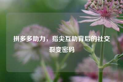 拼多多助力,指尖互助背后的社交裂变密码