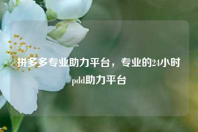 拼多多专业助力平台,专业的24小时pdd助力平台