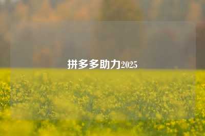 拼多多助力2025