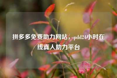 拼多多免费助力网站,pdd24小时在线真人助力平台