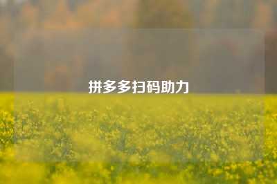 拼多多扫码助力