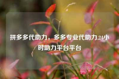 拼多多代助力,多多专业代助力,24小时助力平台平台