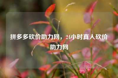 拼多多砍价助力网,24小时真人砍价助力网