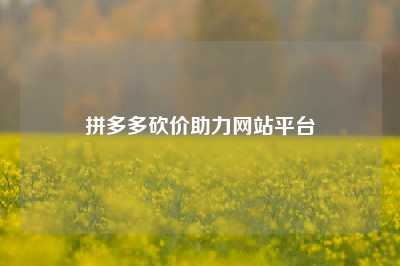 拼多多砍价助力网站平台