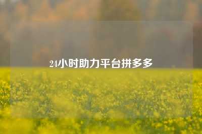 24小时助力平台拼多多