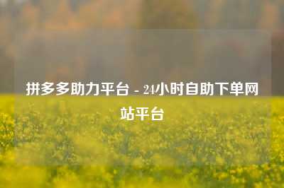 拼多多助力平台 - 24小时自助下单网站平台