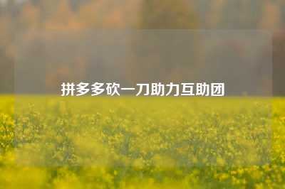拼多多砍一刀助力互助团