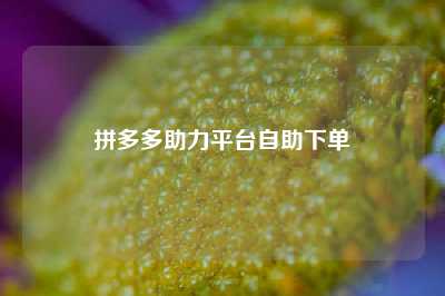 拼多多助力平台自助下单