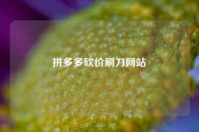 拼多多砍价刷刀网站