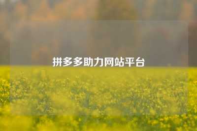 拼多多助力网站平台