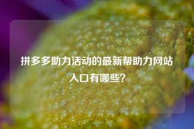 拼多多助力活动的最新帮助力网站入口有哪些？