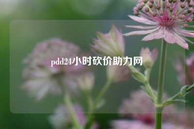 pdd24小时砍价助力网