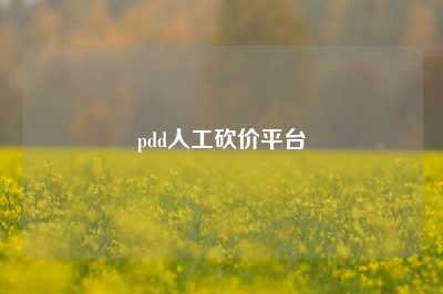 pdd人工砍价平台