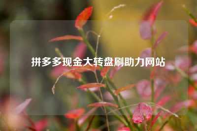 拼多多现金大转盘刷助力网站