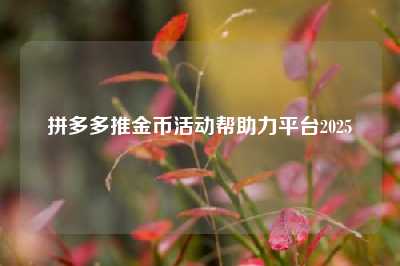 拼多多推金币活动帮助力平台2025
