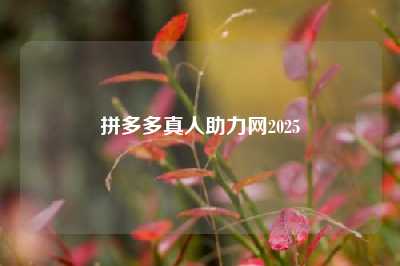 拼多多真人助力网2025