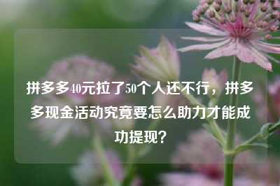 拼多多40元拉了50个人还不行，拼多多现金活动究竟要怎么助力才能成功提现？