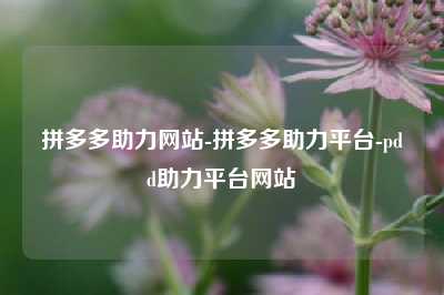拼多多助力网站-拼多多助力平台-pdd助力平台网站