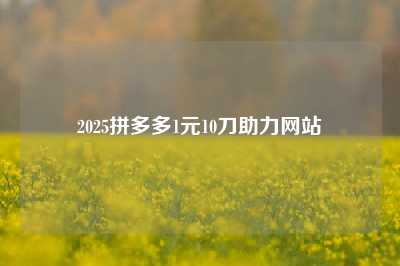2025拼多多1元10刀助力网站