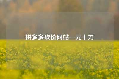 拼多多砍价网站一元十刀