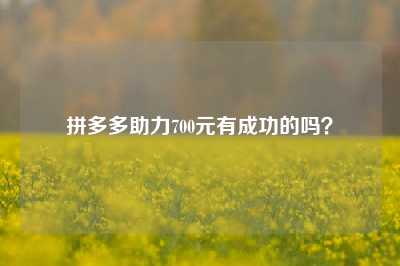 拼多多助力700元有成功的吗?