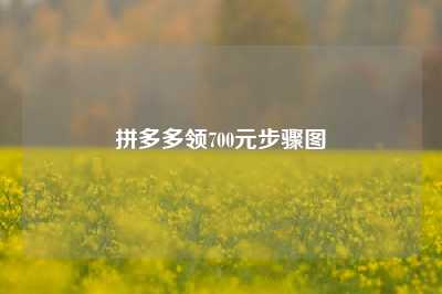 拼多多领700元步骤图