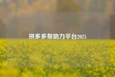 拼多多帮助力平台2025