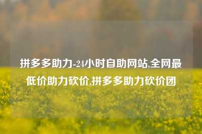 拼多多助力-24小时自助网站,全网最低价助力砍价,拼多多助力砍价团