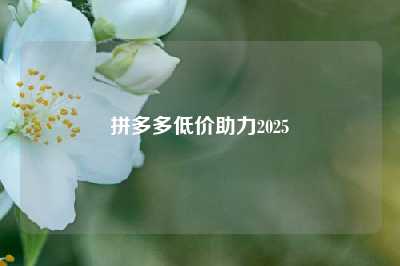 拼多多低价助力2025