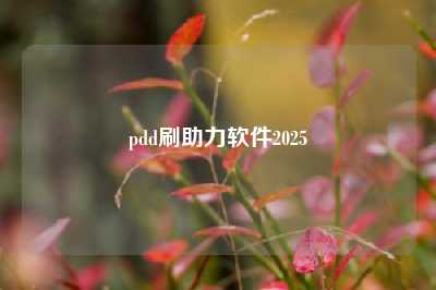 pdd刷助力软件2025