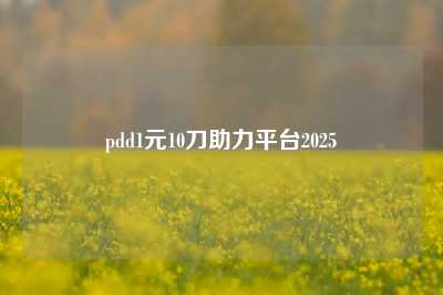 pdd1元10刀助力平台2025