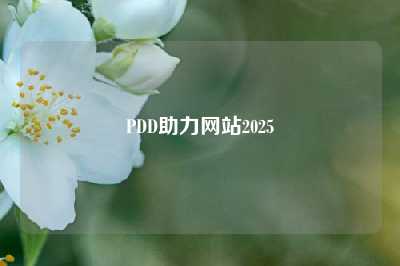 PDD助力网站2025