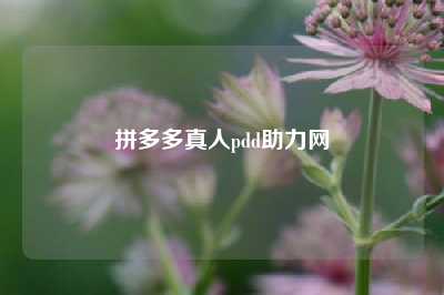 拼多多真人pdd助力网