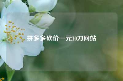 拼多多砍价一元10刀网站