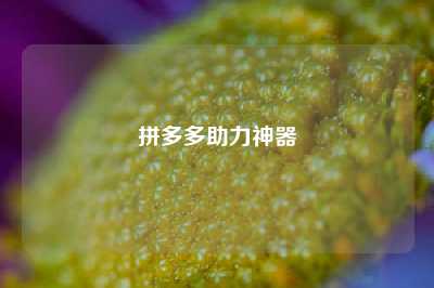 拼多多助力神器