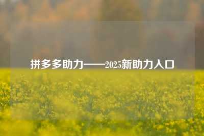 拼多多助力——2025新助力入口