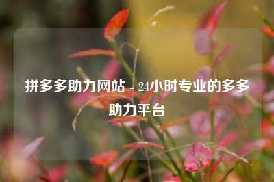 拼多多助力网站 - 24小时专业的多多助力平台