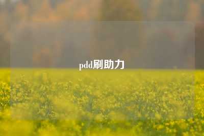 pdd刷助力