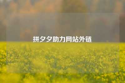 拼夕夕助力网站外链