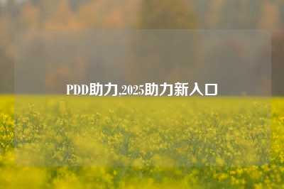 PDD助力,2025助力新入口