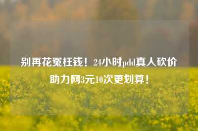 别再花冤枉钱！24小时pdd真人砍价助力网3元10次更划算！