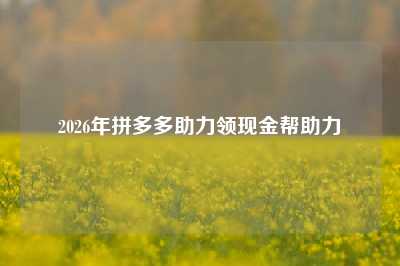 2026年拼多多助力领现金帮助力