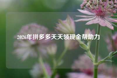 2026年拼多多天天领现金帮助力