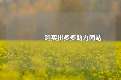 🔗购买拼多多助力网站