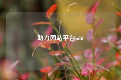 助力网站平台pdd