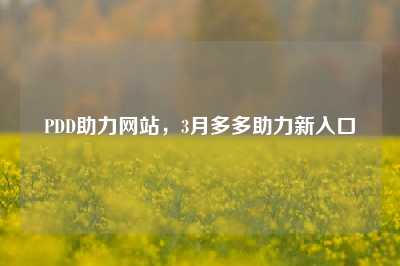 PDD助力网站,3月多多助力新入口