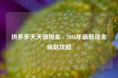 拼多多天天领现金 - 2026年最新现金领取攻略