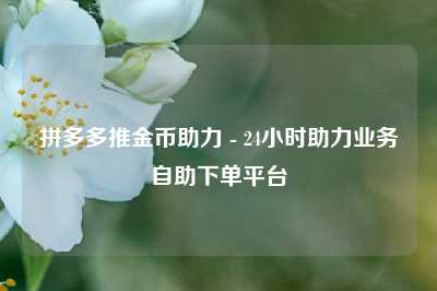 拼多多推金币助力 - 24小时助力业务自助下单平台