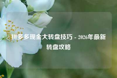 拼多多现金大转盘技巧 - 2026年最新转盘攻略